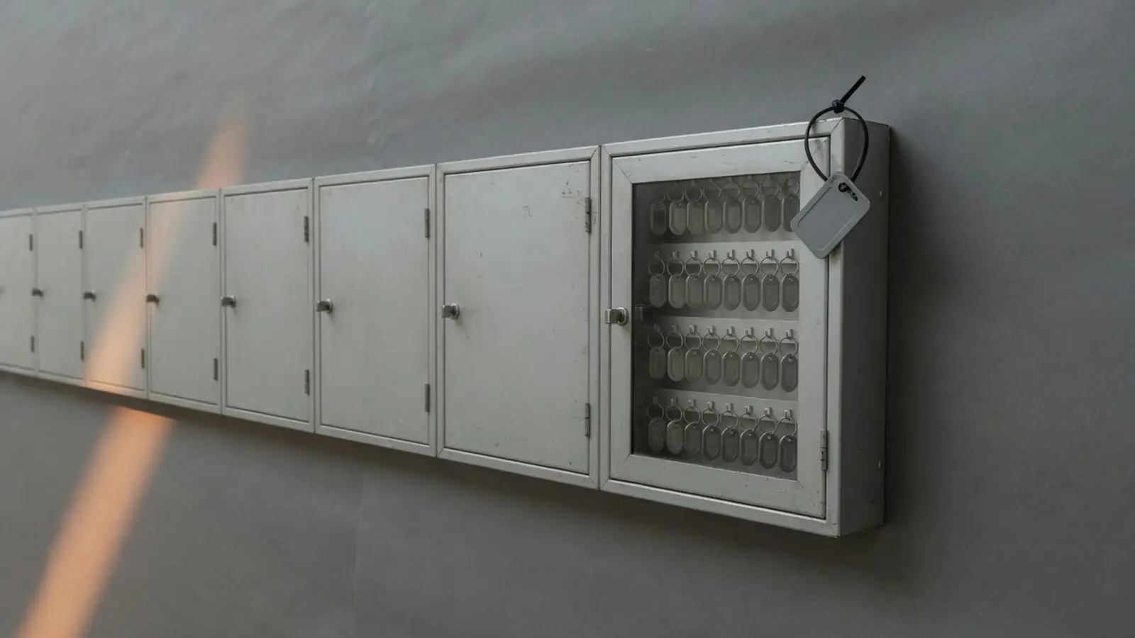 Network Pacific Real Estate - Leak Listed by Ragnar Locker Ransomware Group